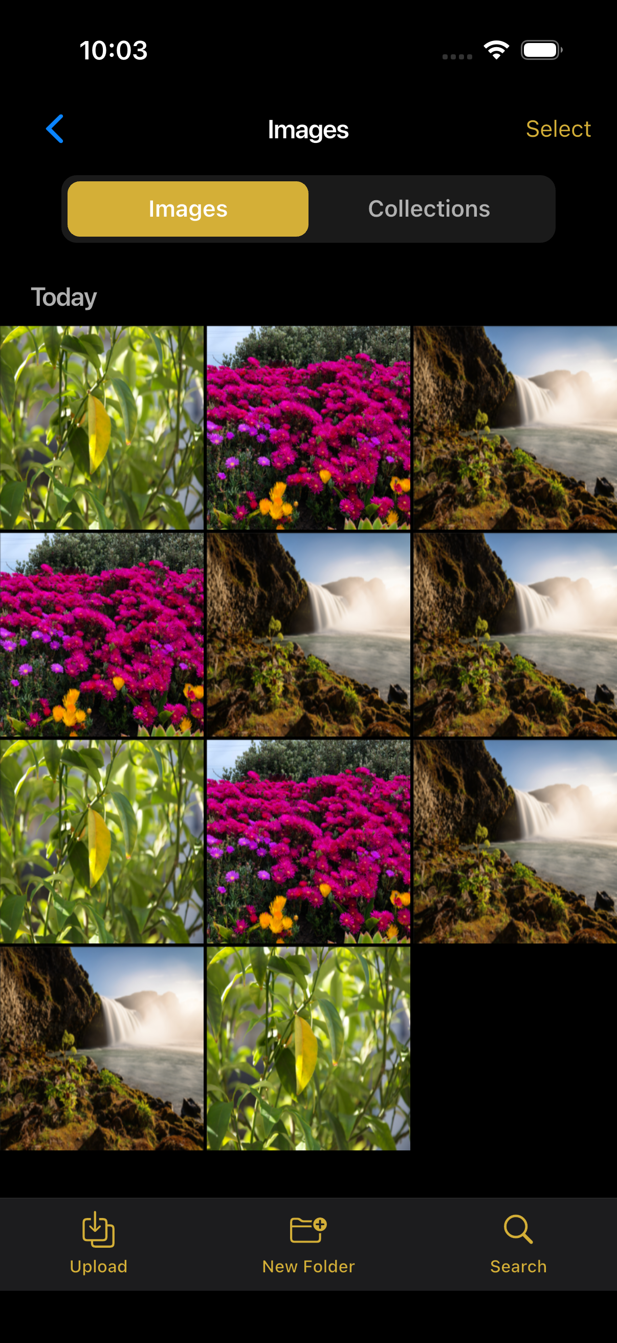 Images Gallery - Dark Theme